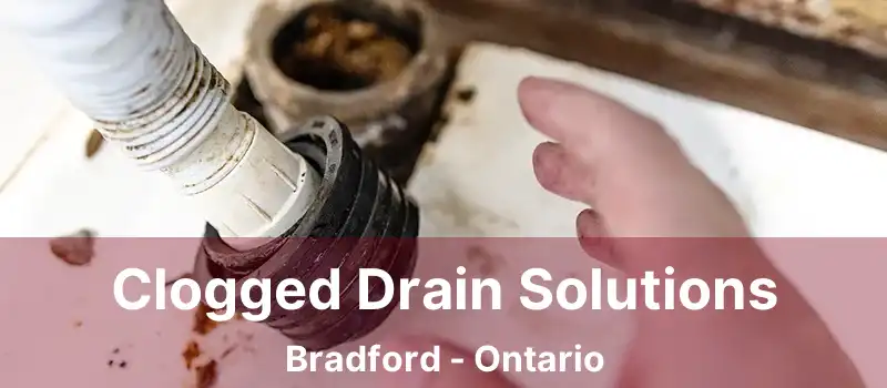  Clogged Drain Solutions Bradford - Ontario