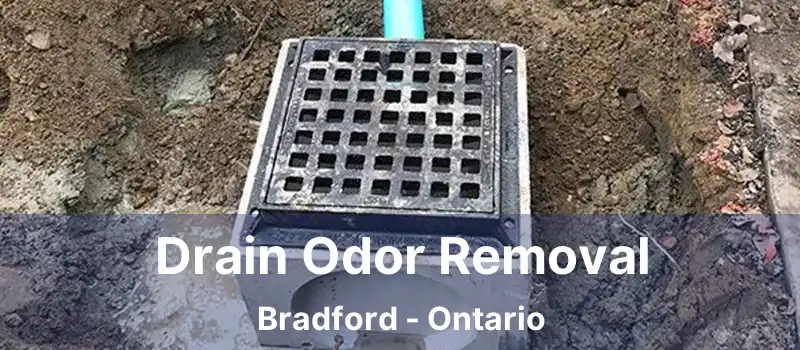  Drain Odor Removal Bradford - Ontario